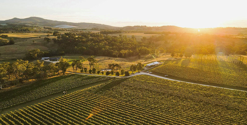 8 Wines that have shaped the Orange Wine Region