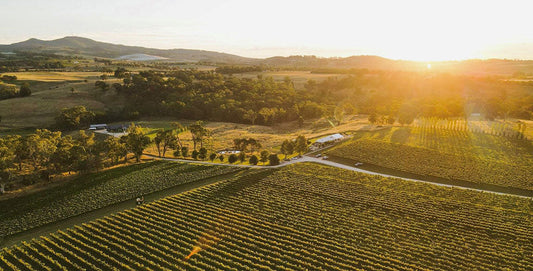 8 Wines that have shaped the Orange Wine Region