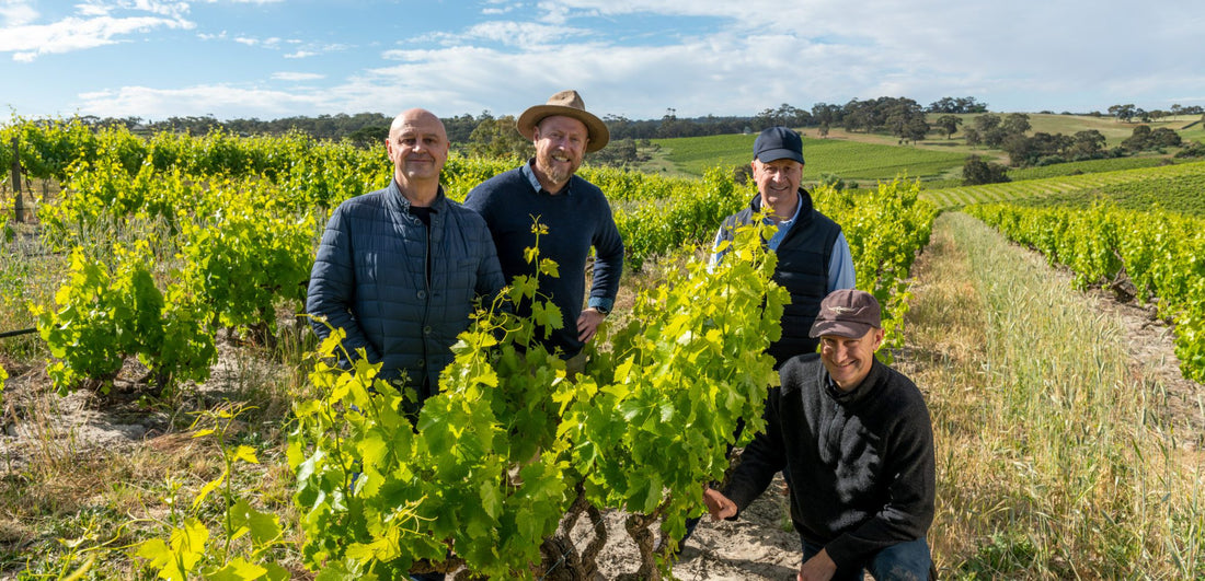 McLaren Vale's MMAD Wines