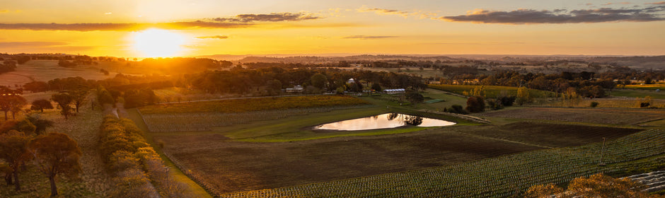 Producer Profile: Stockman's Ridge