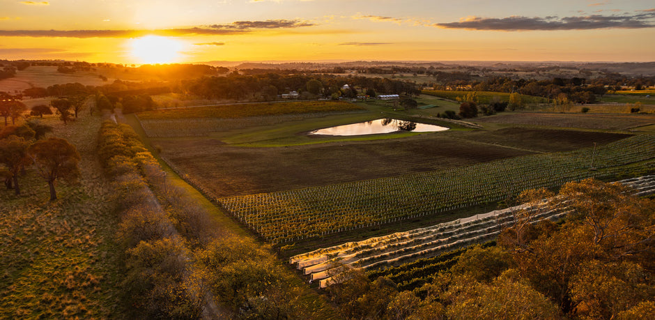 Stockman’s Ridge vigneron named as Young Gun.