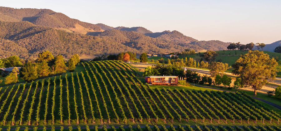 First Ridge release trophy winning 2025 whites