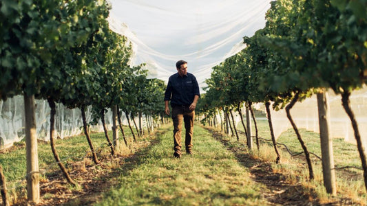 Winemakers in the Press: Tom Ward