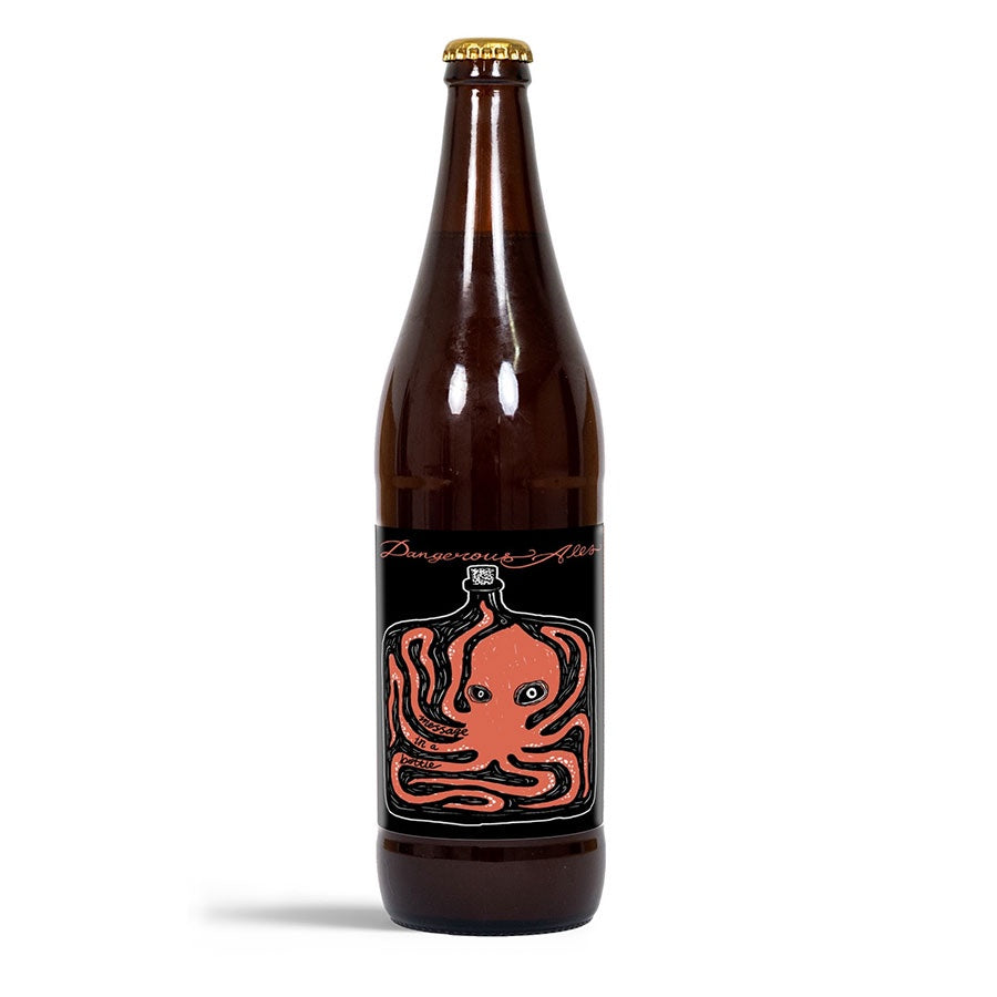 Dangerous Ales 'Message In A Bottle' Barrel Aged Imperial Stout - Single