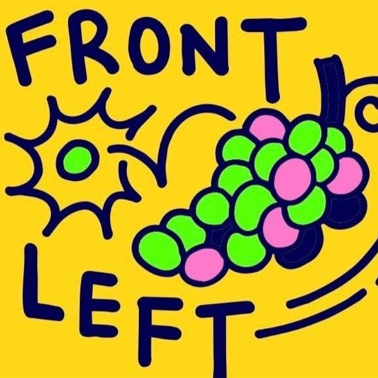 Front Left 'Vermento Demento' Vermentino
